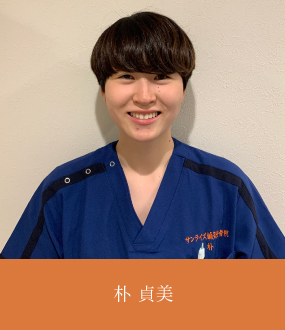 朴 貞美